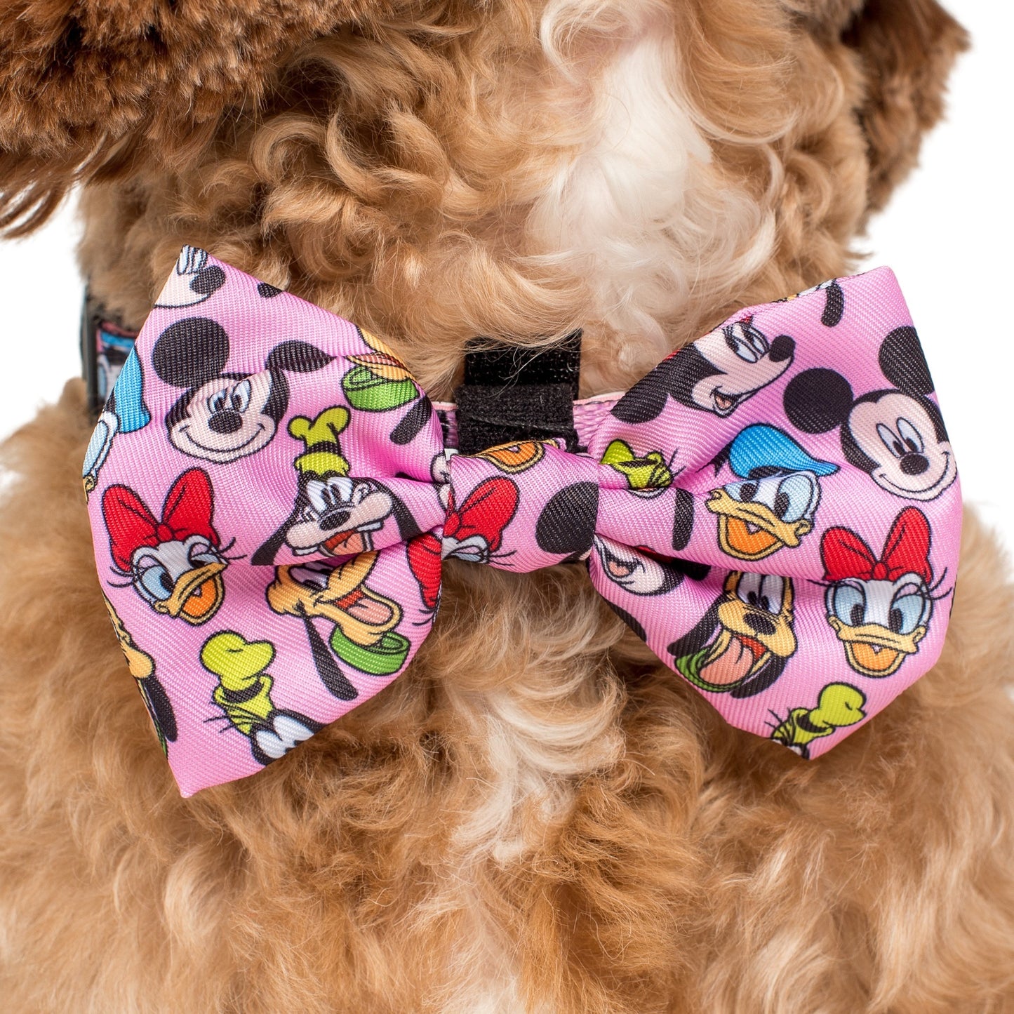 Mickey & Friends - Pink: Bow Tie