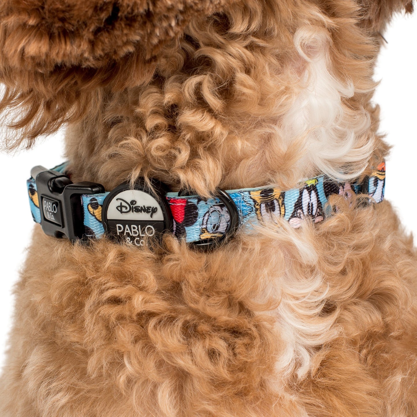 Mickey & Friends - Blue: Dog Collar