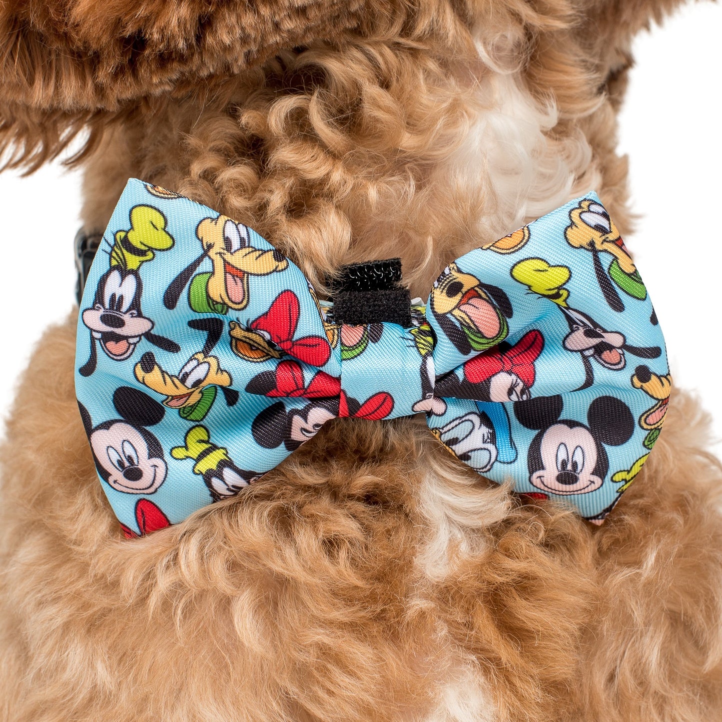 Mickey & Friends - Blue: Bow Tie