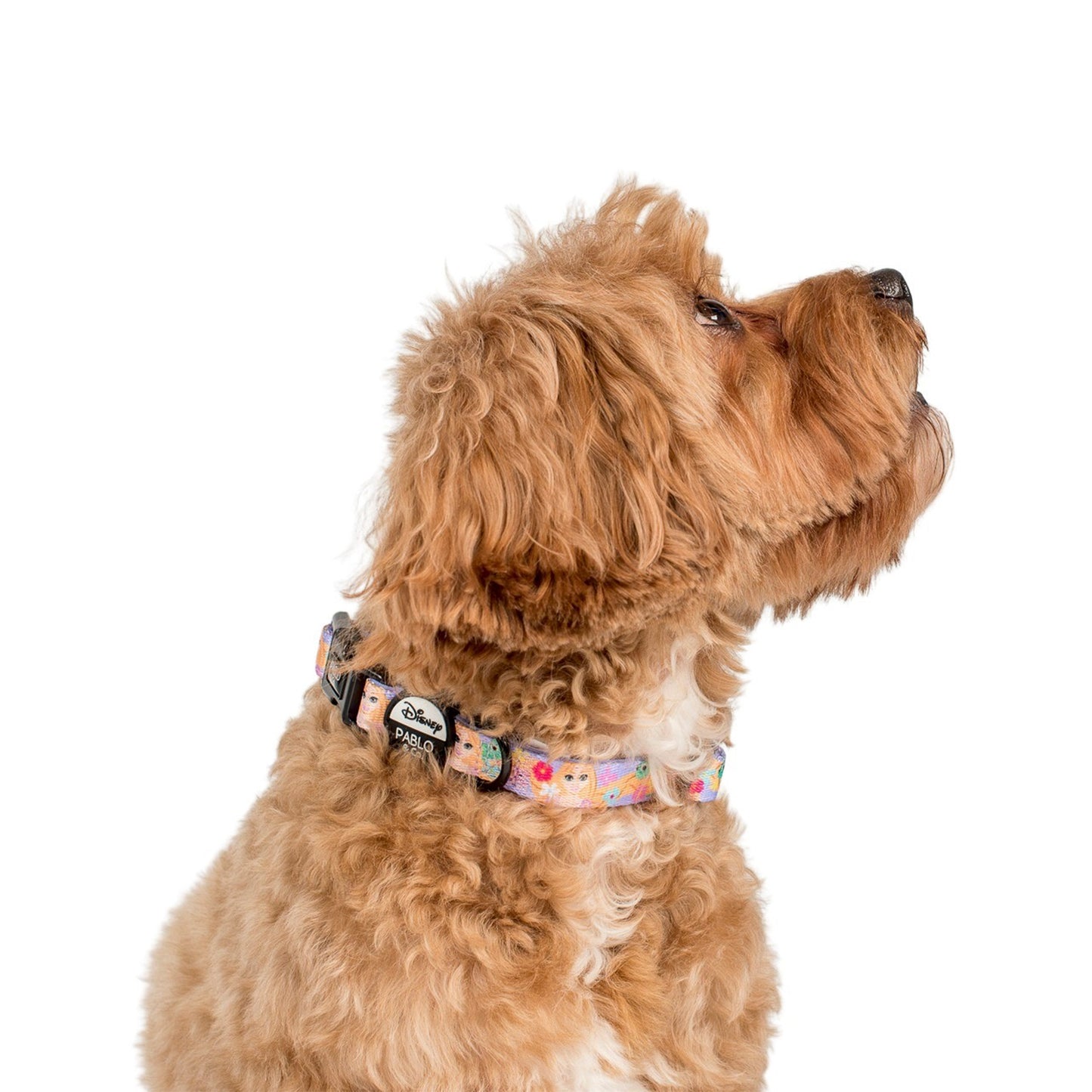 Rapunzel: Dog Collar