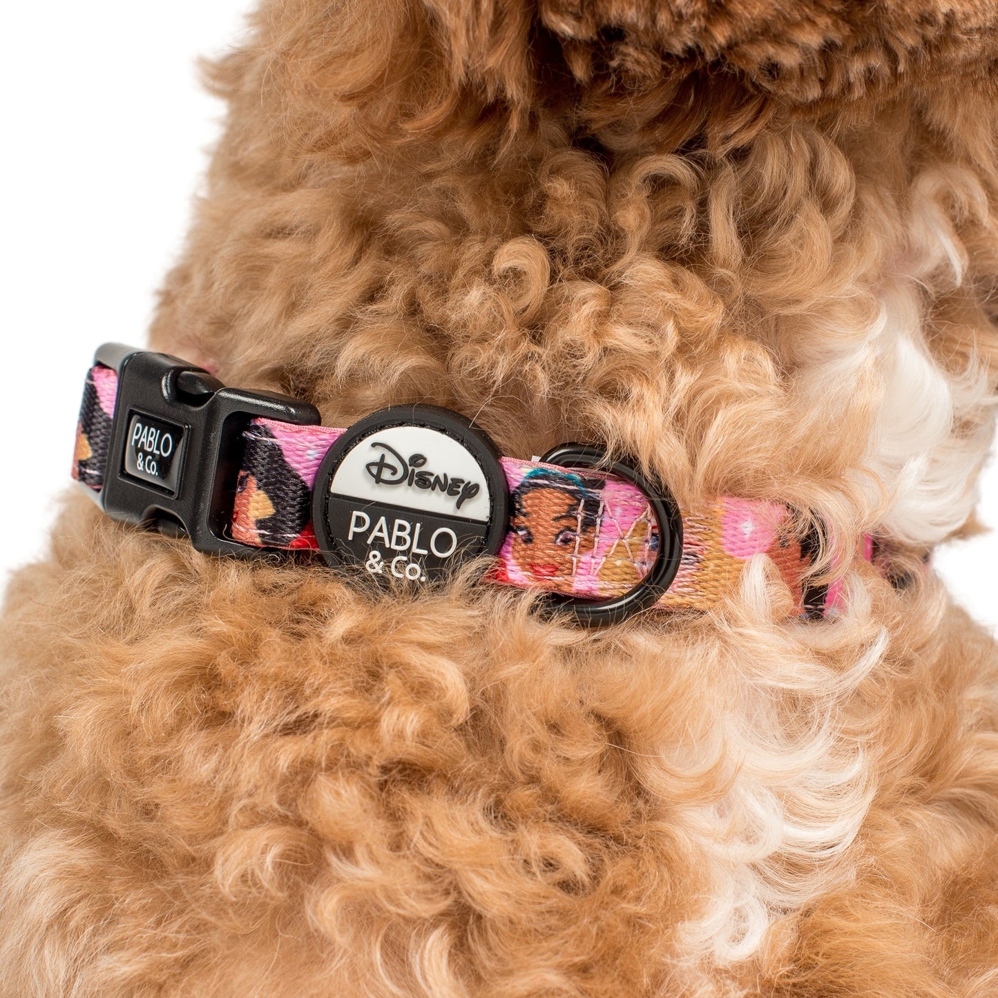 Disney Princesses: Dog Collar