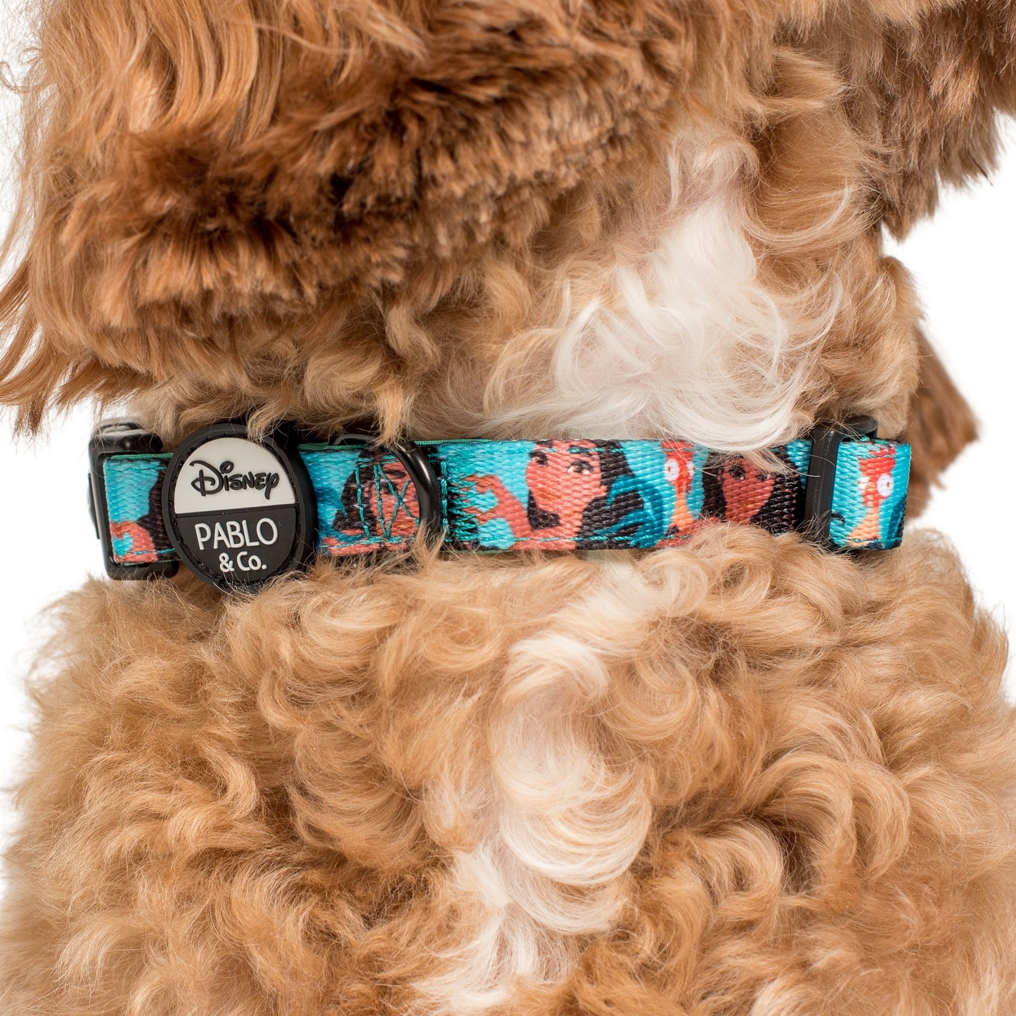 Moana: Dog Collar