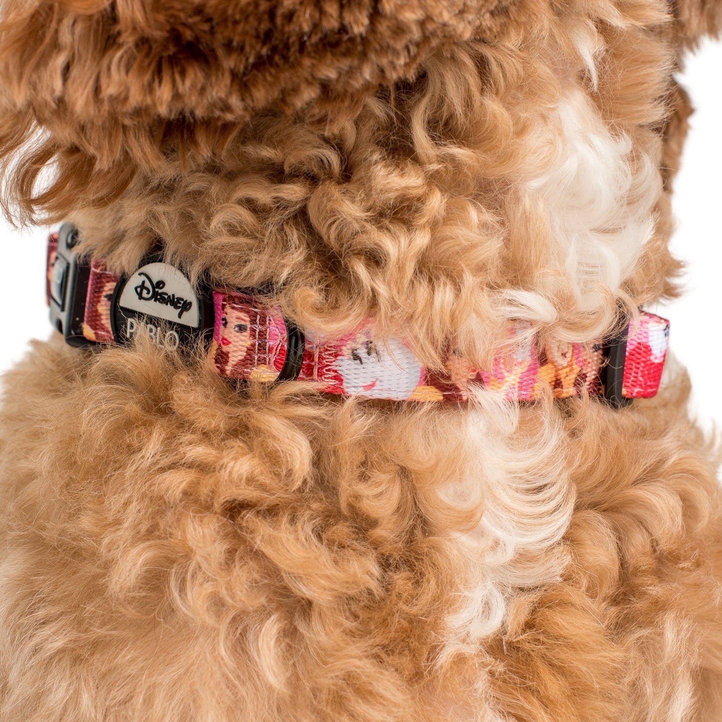 Beauty and the Beast: Dog Collar