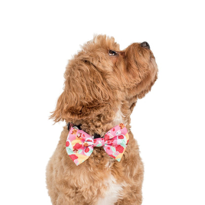 Beauty and the Beast: Bow Tie