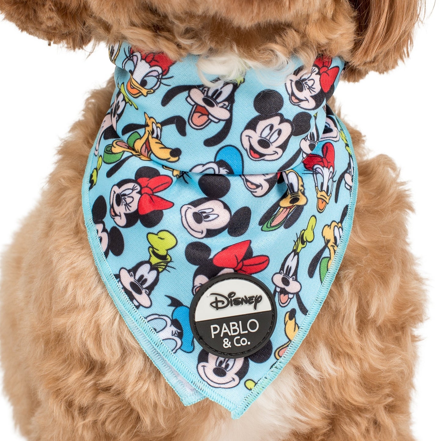 Mickey & Friends - Blue: Dog Bandana