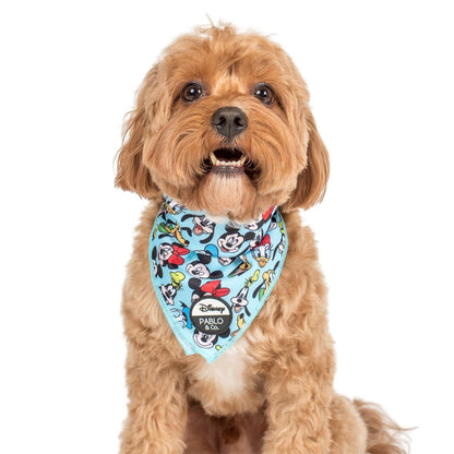 Mickey & Friends - Blue: Dog Bandana