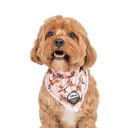 The One of a Kind Tigger: Dog Bandana