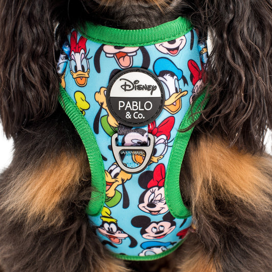 Mickey & Friends - Blue: Adjustable Harness