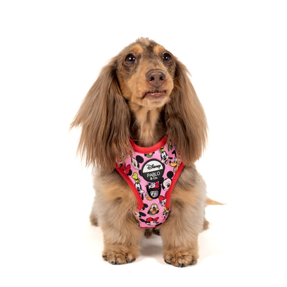 Mickey & Friends - Pink: Adjustable Harness