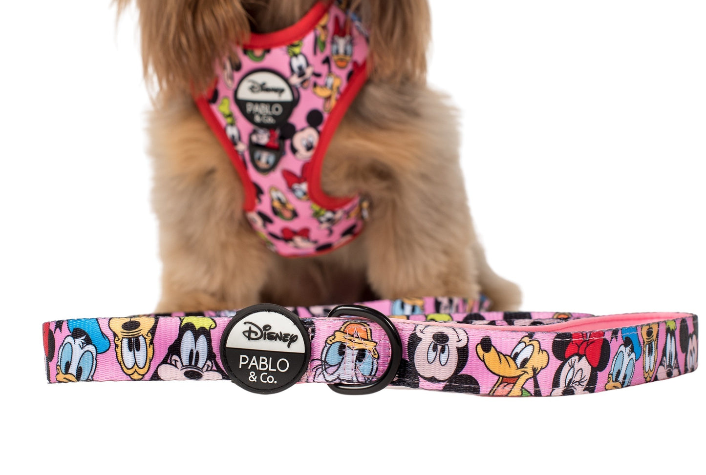 Mickey & Friends - Pink: Dog Leash