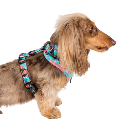 Moana: Adjustable Harness