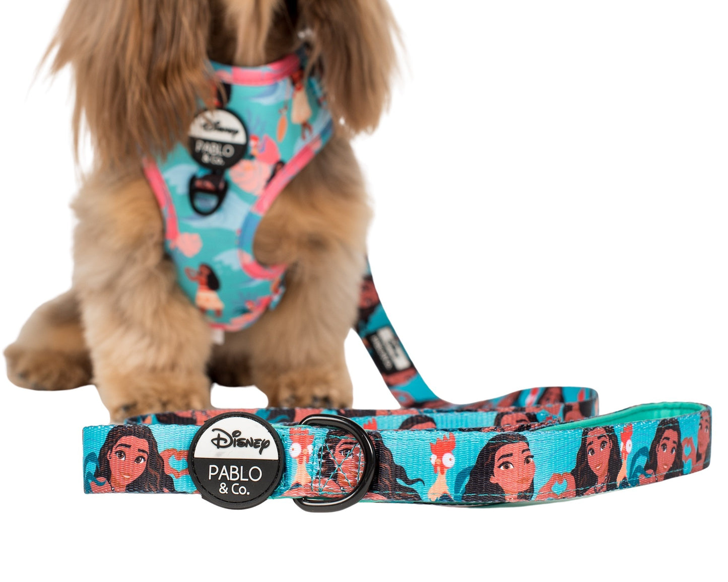 Moana: Dog Leash