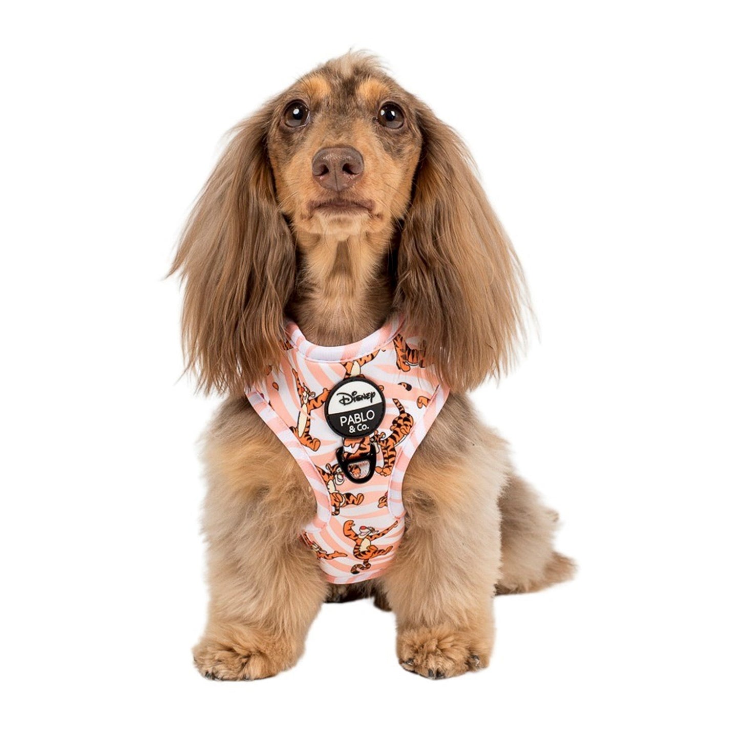 The One of a Kind Tigger: Adjustable Harness