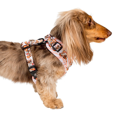 The One of a Kind Tigger: Adjustable Harness