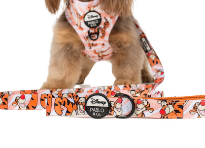 The One of a Kind Tigger: Dog Leash