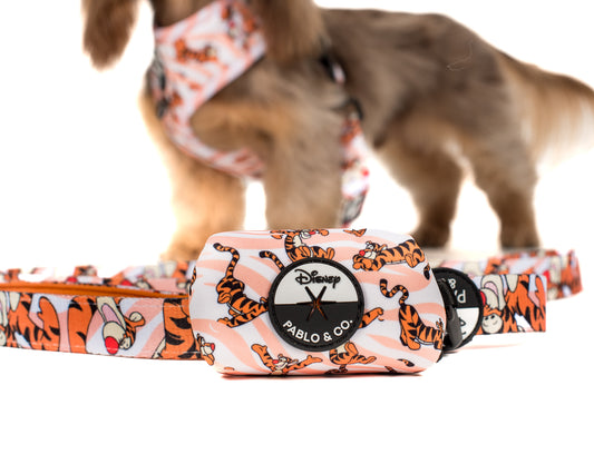 The One of a Kind Tigger: Poop Bag Holder