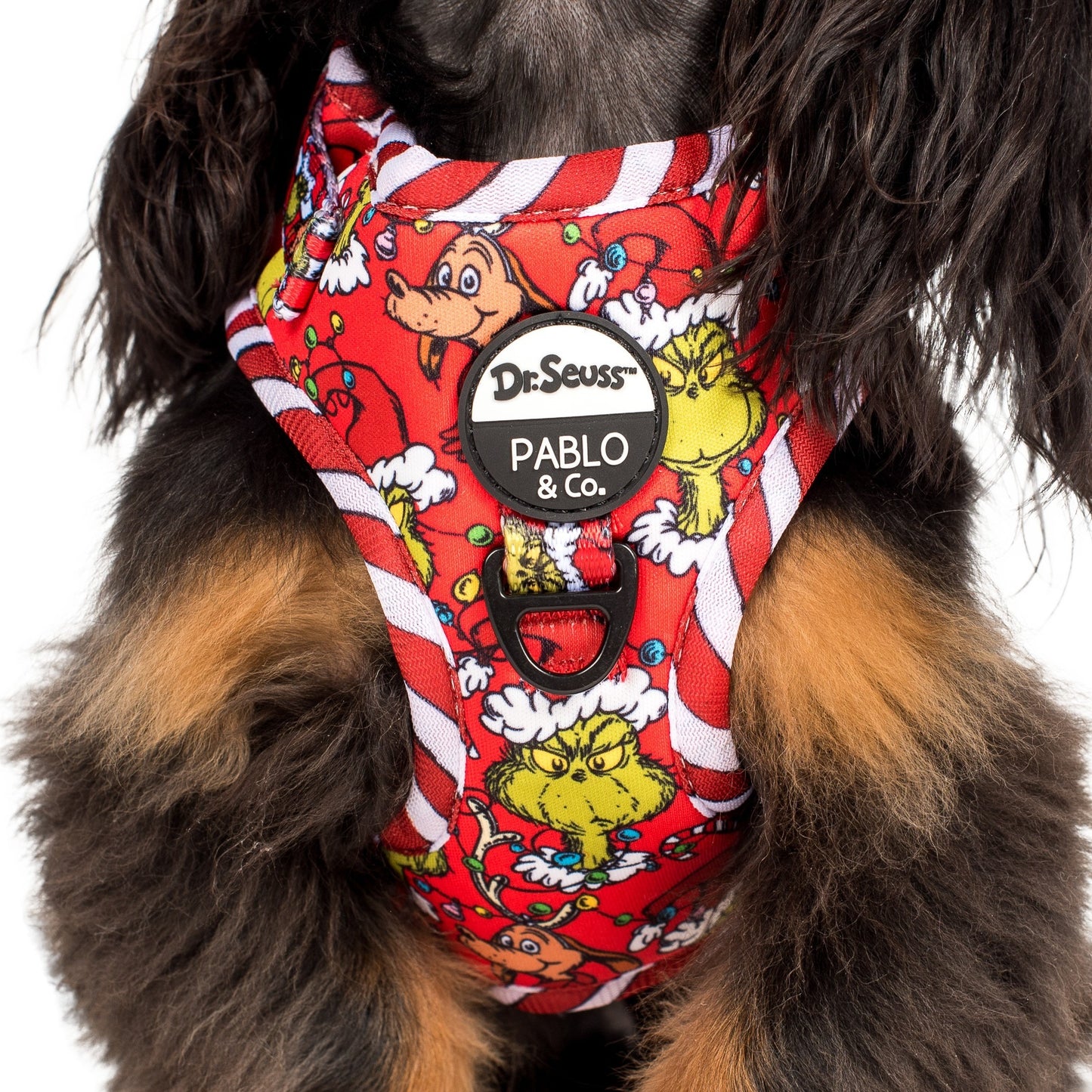 Dr. Seuss' The Grinch: Adjustable Harness