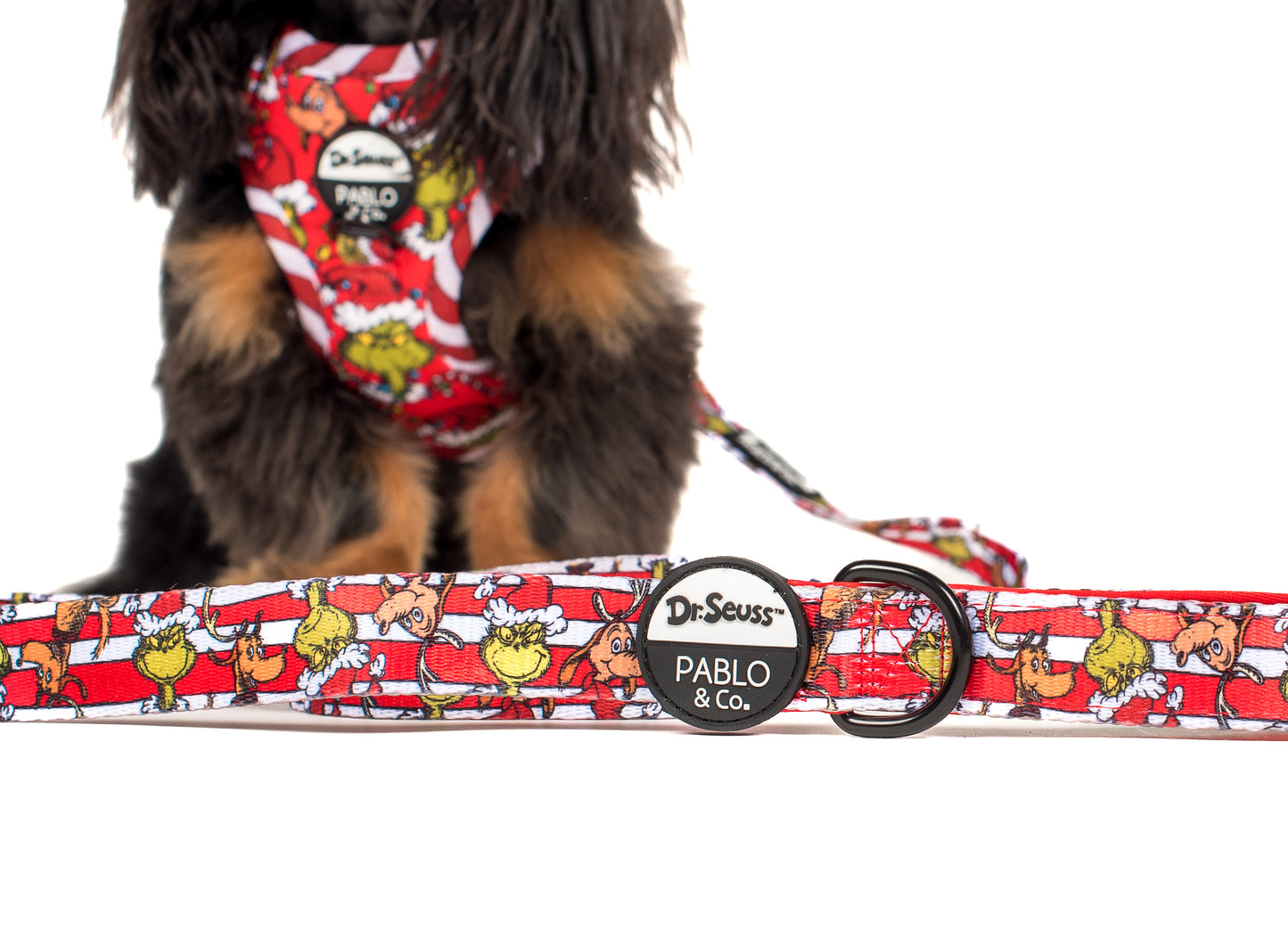 Dr. Seuss' The Grinch: Dog Leash