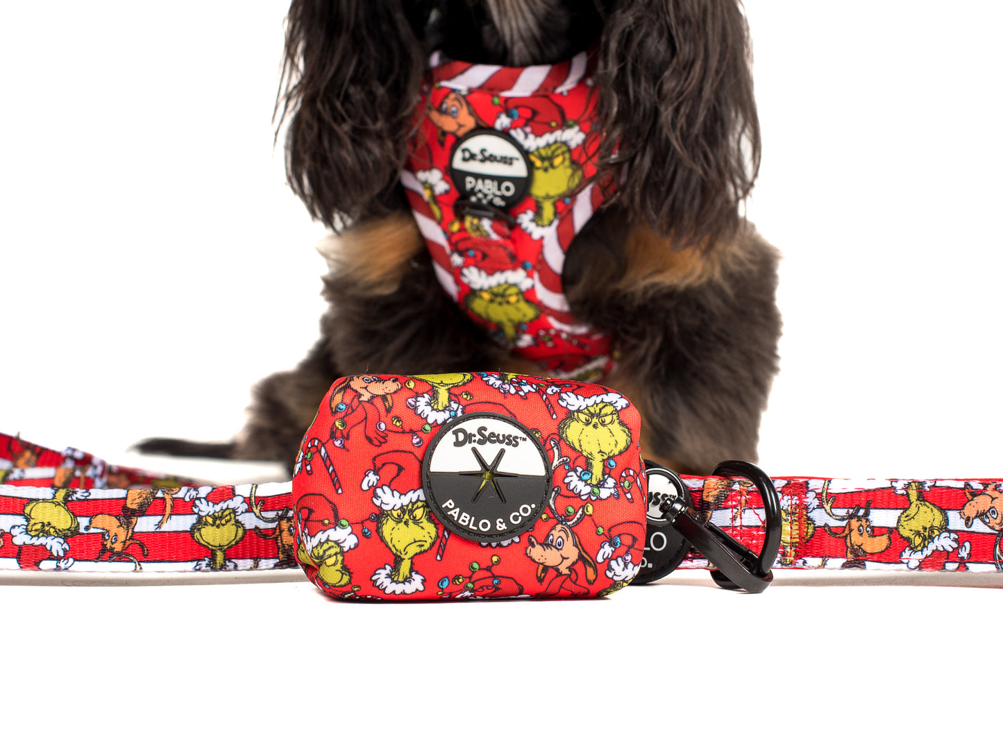 Dr. Seuss' The Grinch: Poop Bag Holder