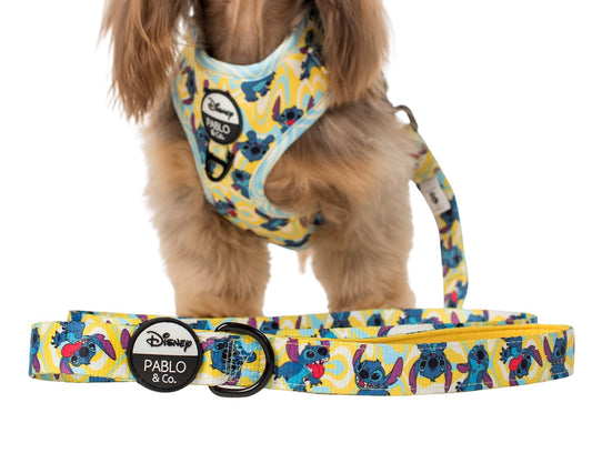 Psychedelic Stitch: Dog Leash