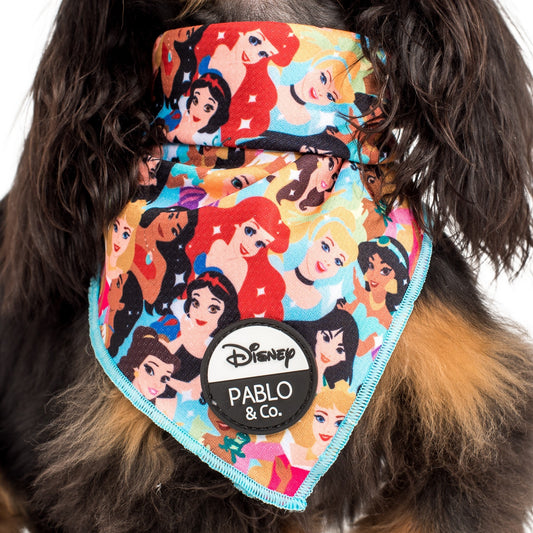 Disney Princesses: Dog Bandana