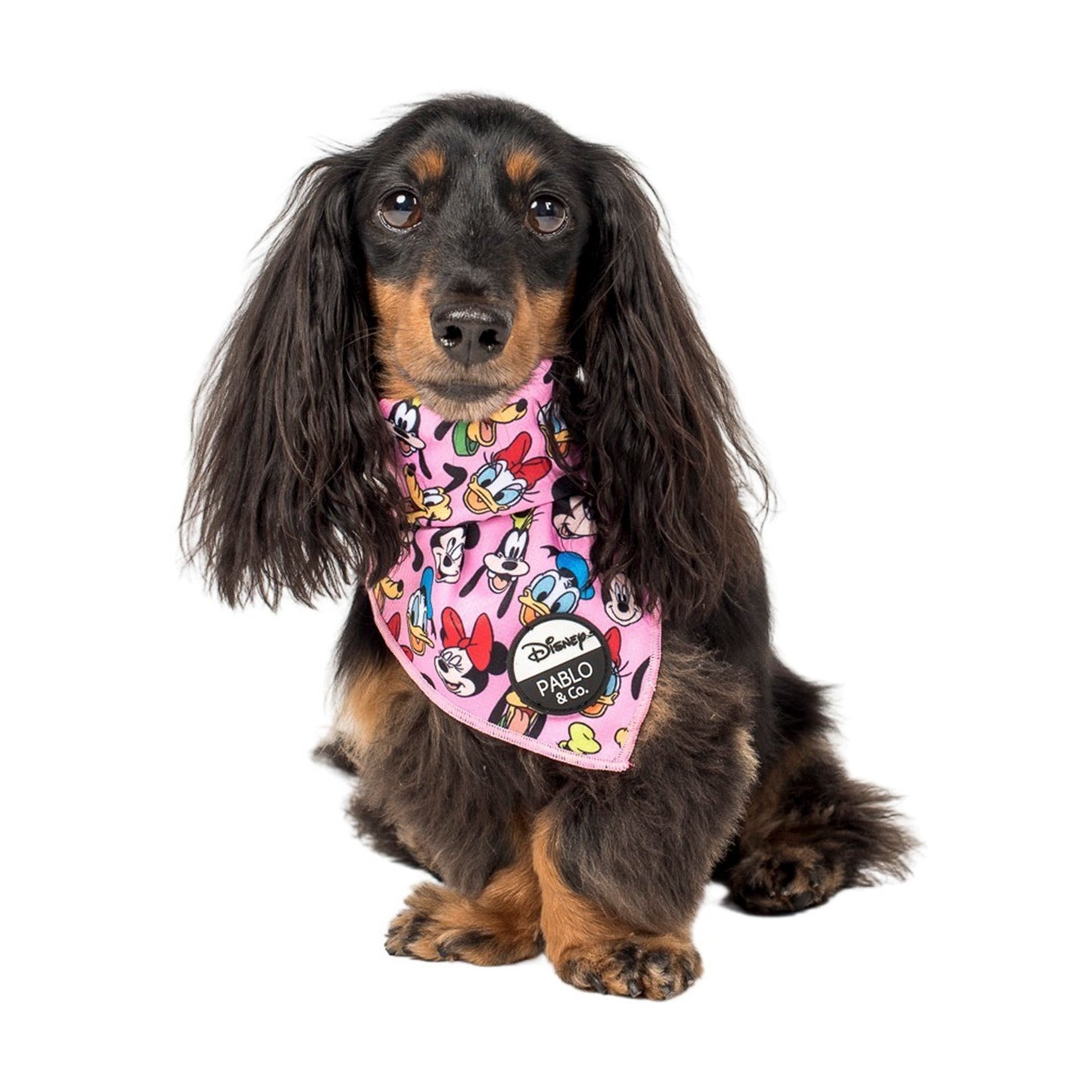 Mickey & Friends - Pink: Dog Bandana