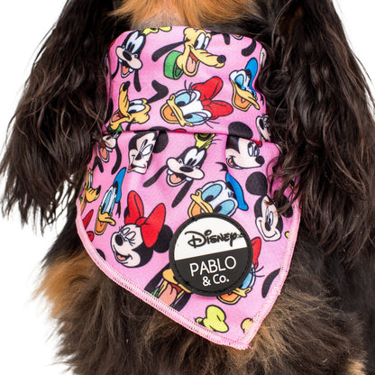 Mickey & Friends - Pink: Dog Bandana