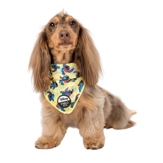 Psychedelic Stitch: Dog Bandana