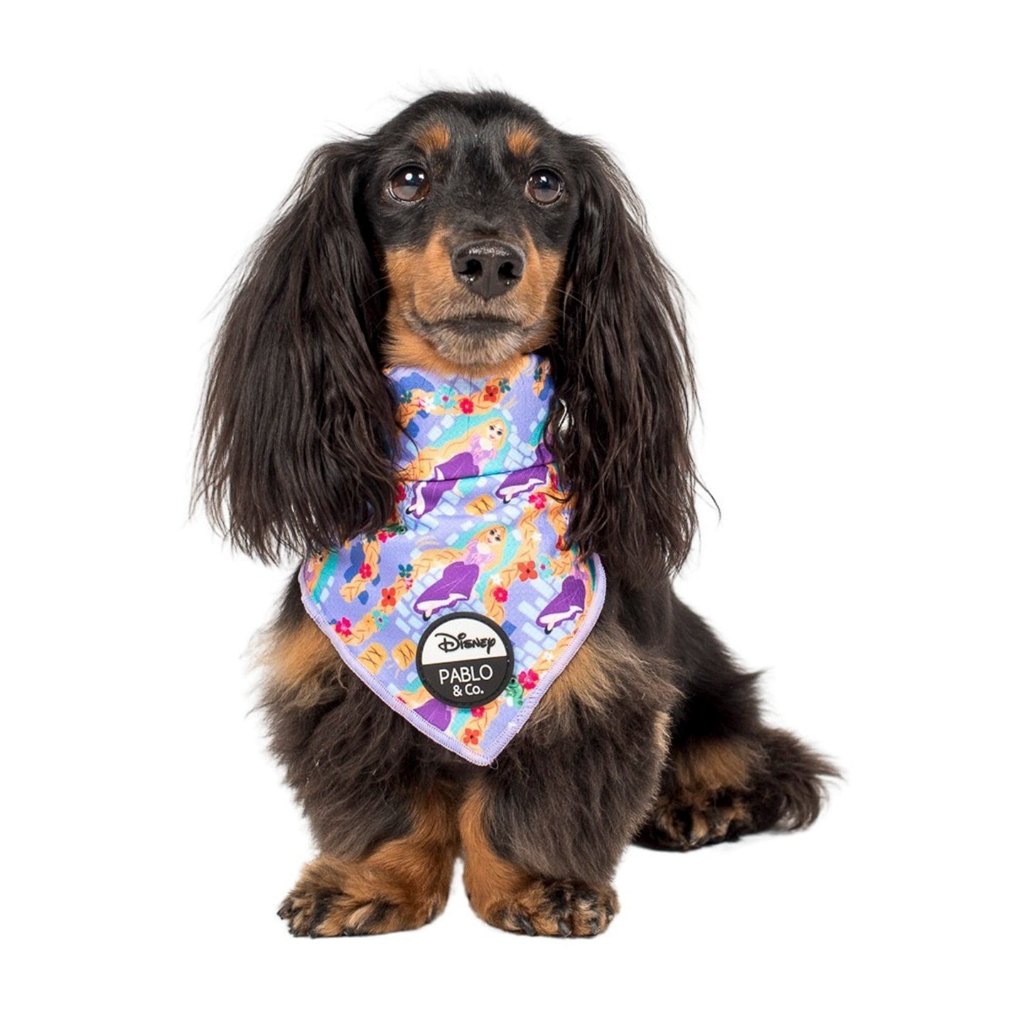 Rapunzel: Dog Bandana