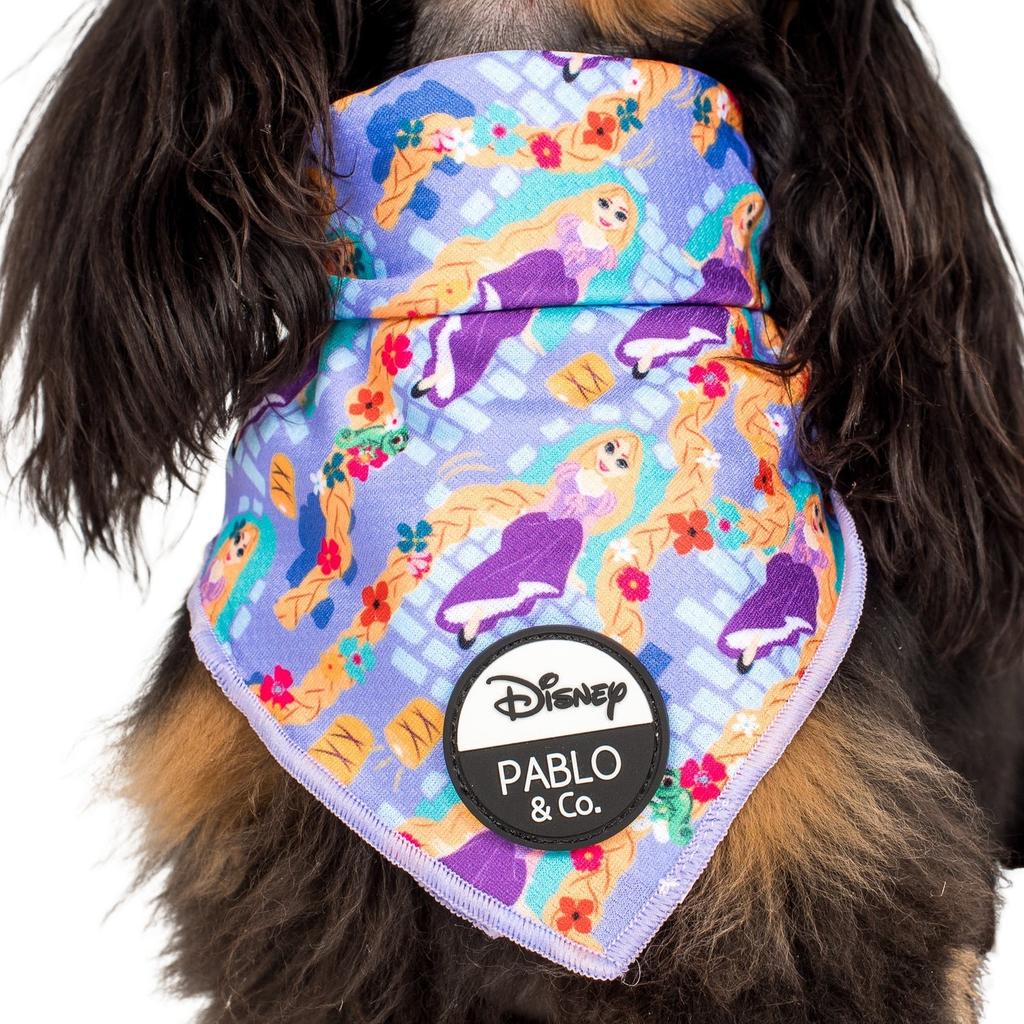 Rapunzel: Dog Bandana