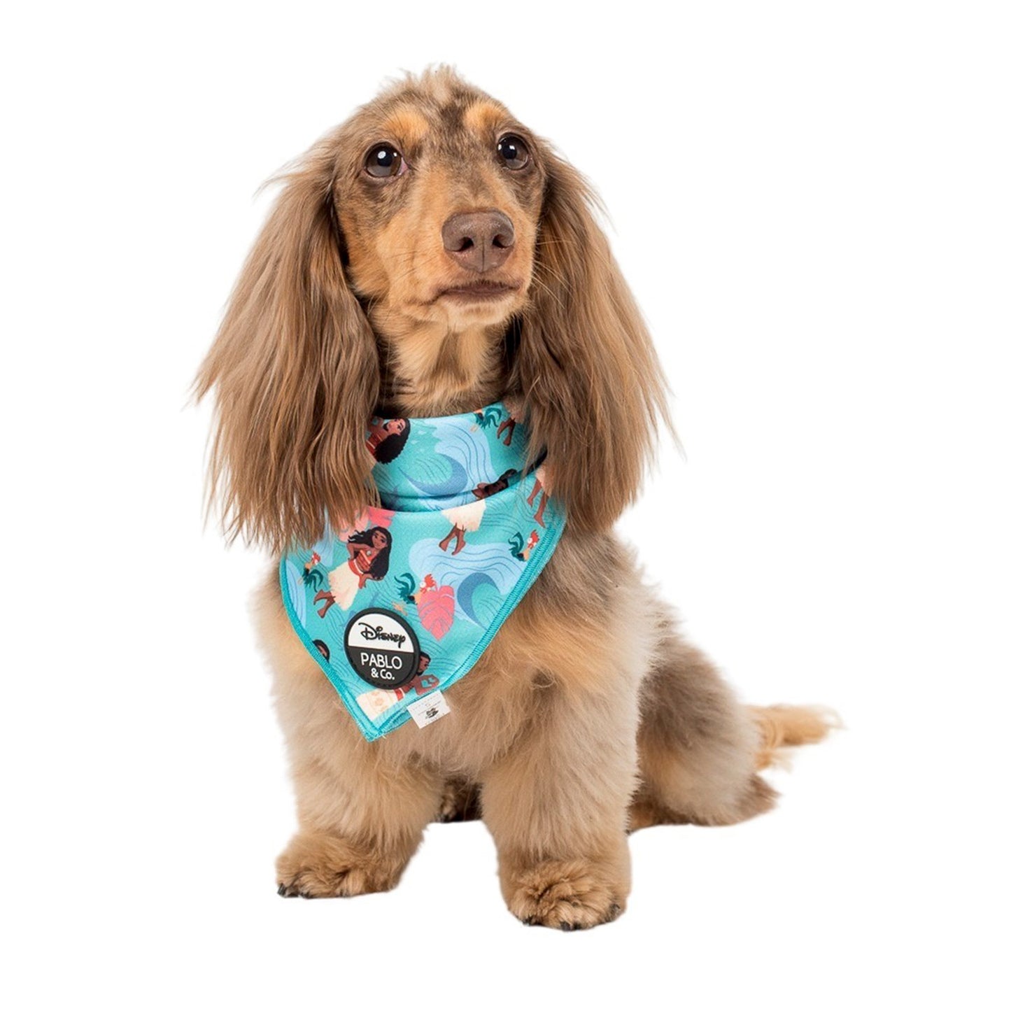 Moana: Dog Bandana