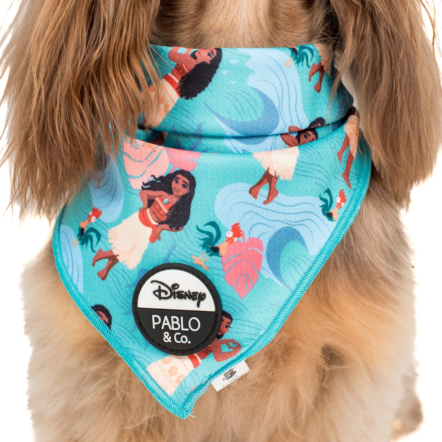 Moana: Dog Bandana