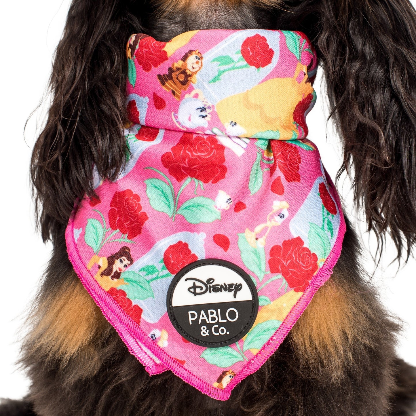 Beauty and the Beast: Dog Bandana