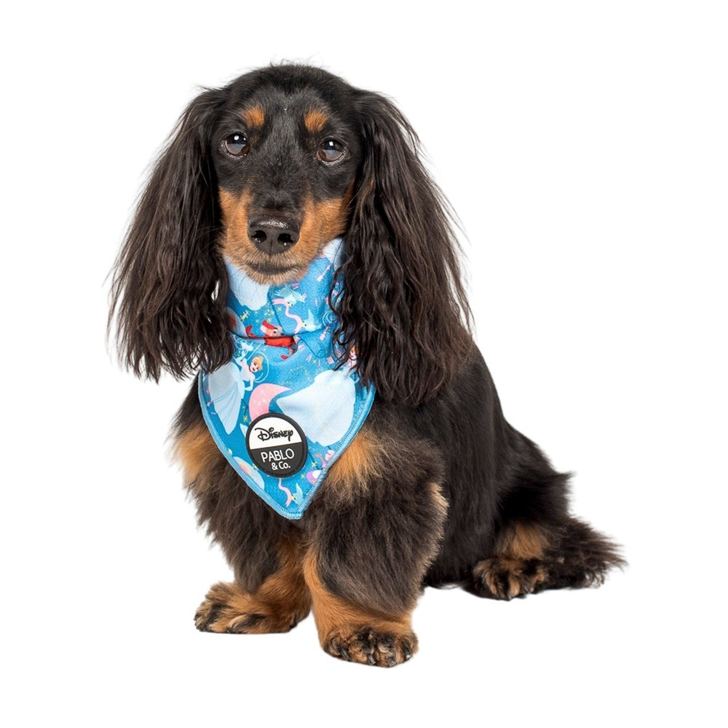 Cinderella: Dog Bandana