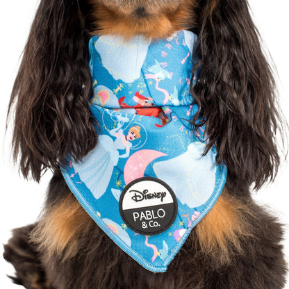 Cinderella: Dog Bandana