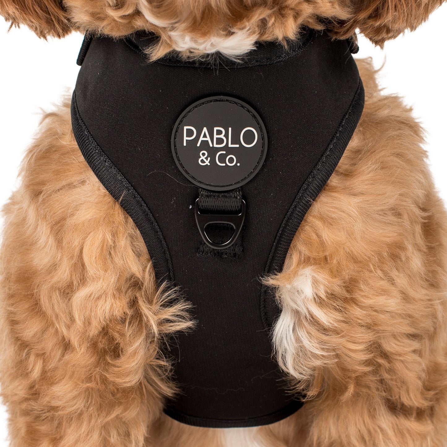 Black: Adjustable Harness