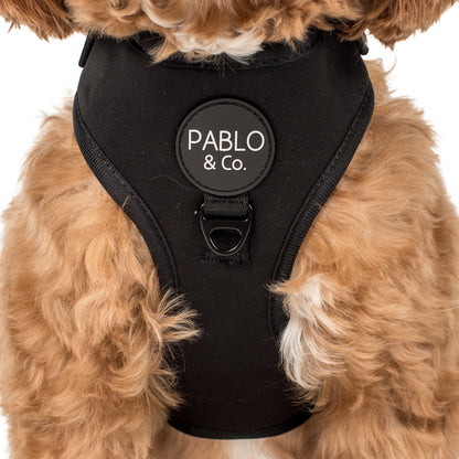 Black: Adjustable Harness