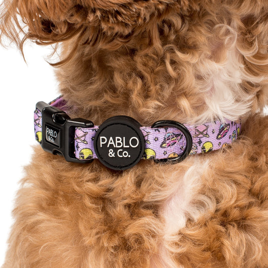 Out of This World: Dog Collar