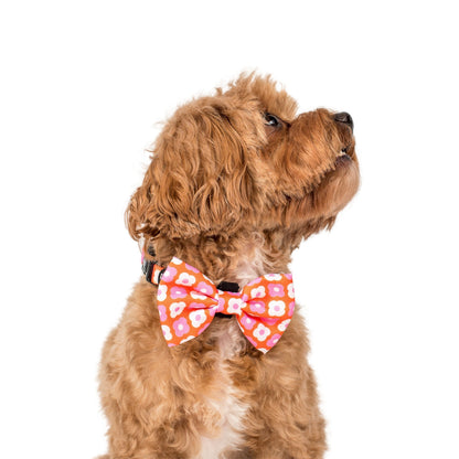 Pink Checkered Daisies: Bow Tie