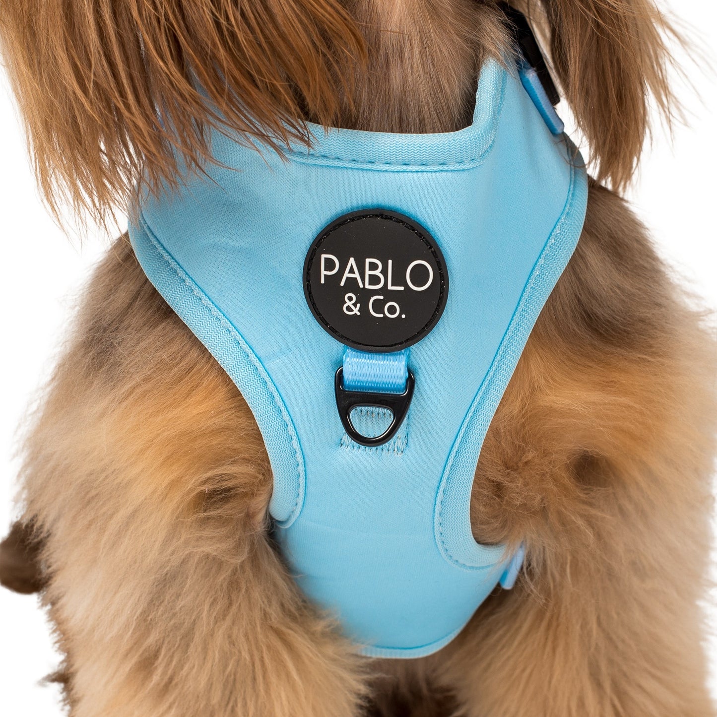 Baby Blue: Adjustable Harness