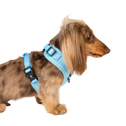 Baby Blue: Adjustable Harness