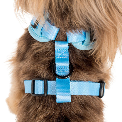 Baby Blue: Adjustable Harness