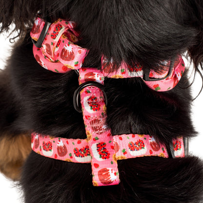 Festive Sweets: Adjustable Harness FINAL SALE. NO RETURNS.