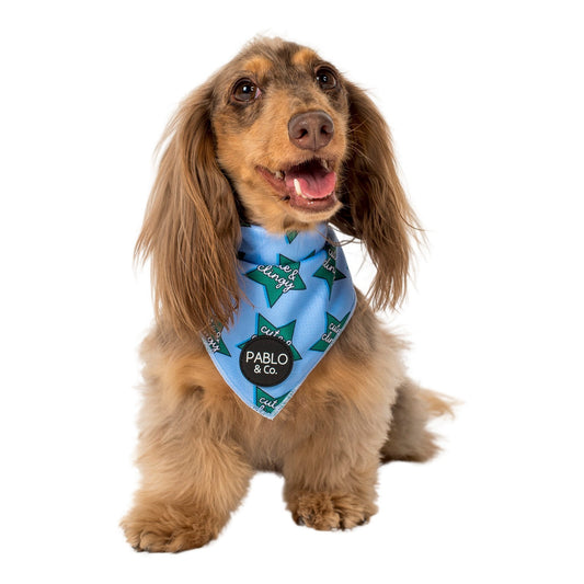 Cute & Clingy Stars - Dog Bandana