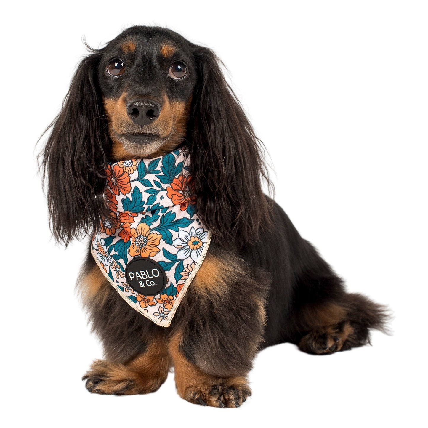 Wildflowers - Dog Bandana