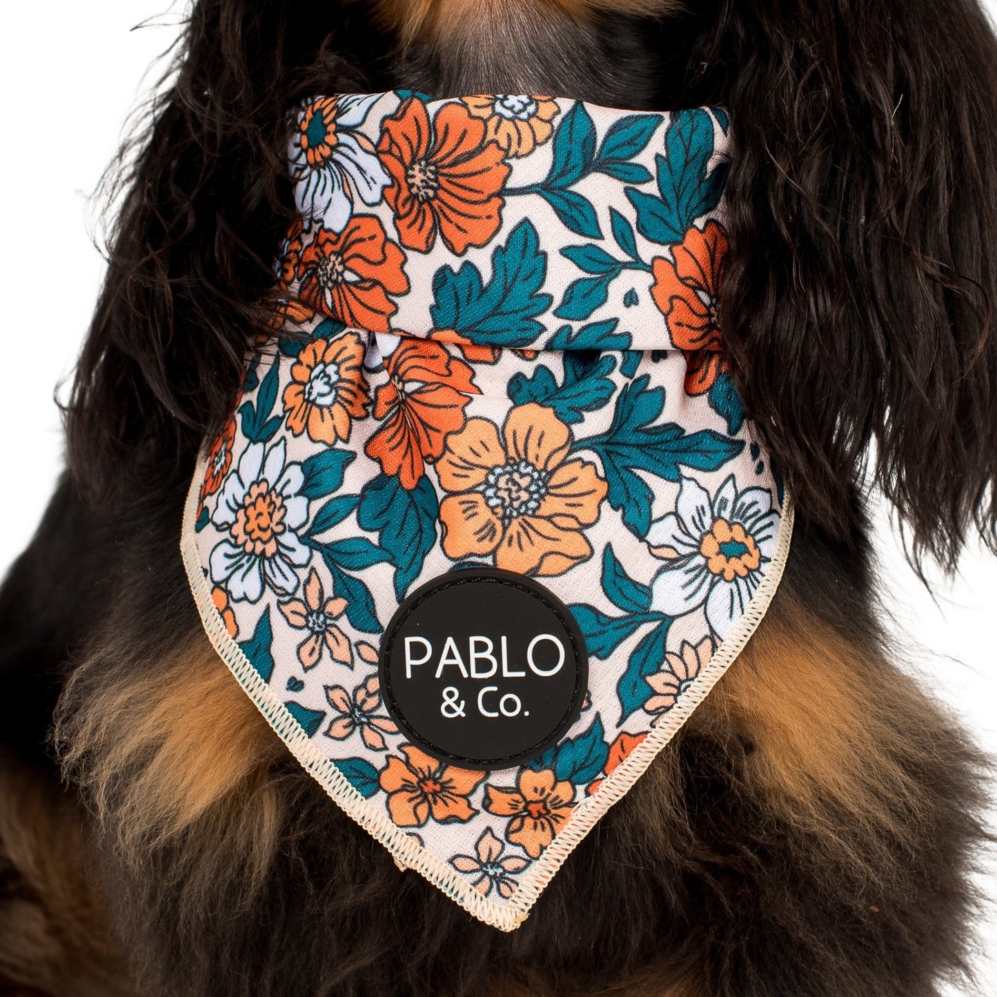 Wildflowers - Dog Bandana