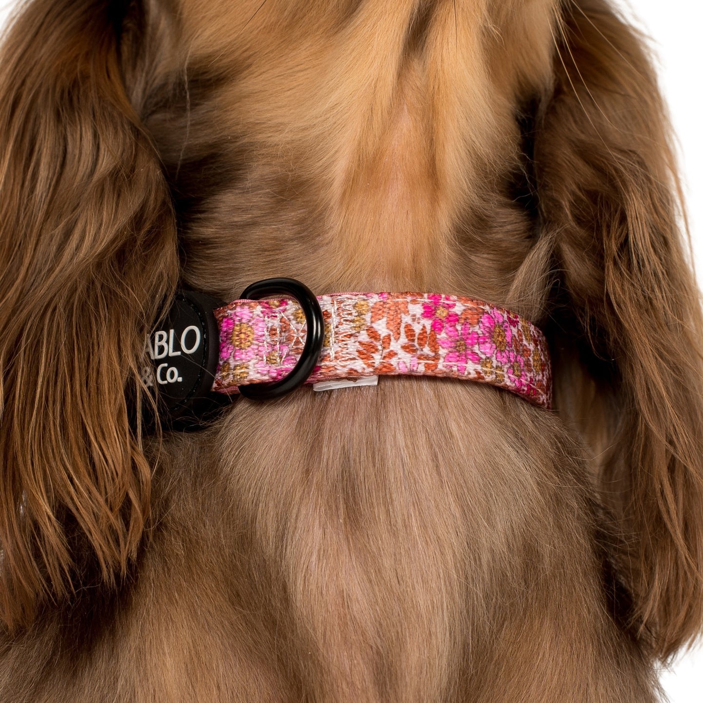 Pink Posies: Collar