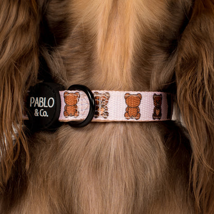 Teddy Bears Picnic: Collar