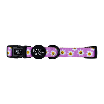 Lilac Smiley Flowers: Collar