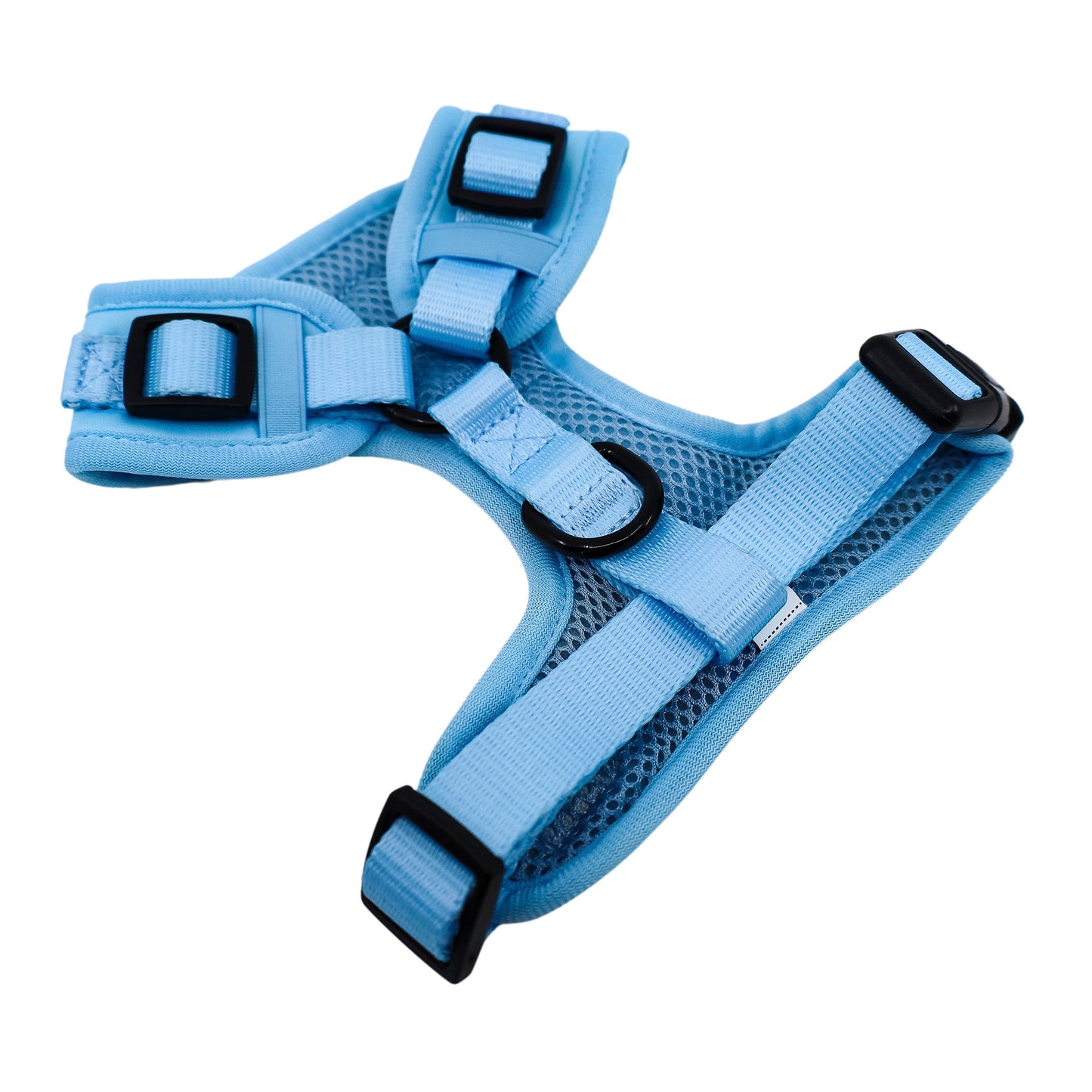 Baby Blue: Adjustable Harness